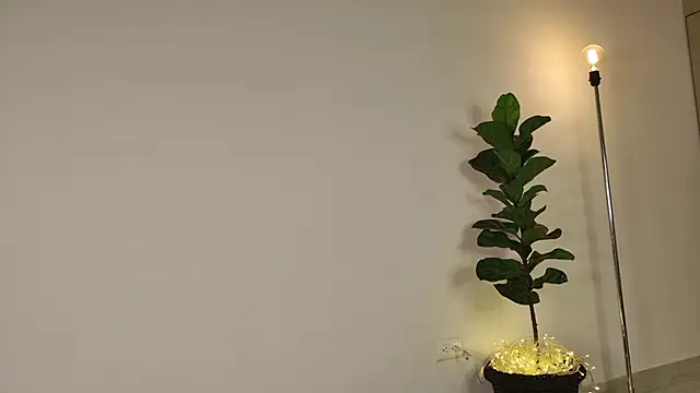 lady ni  online show from December 17, 12:20 pm