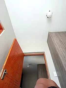 Mayo01  online show from November 21, 9:44 am