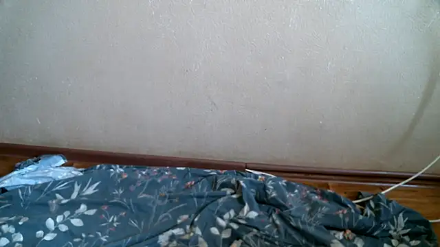 DennisXCaroll online show from August 1, 11:01 am