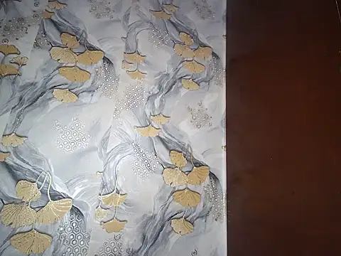  Gyy  online show from November 8, 3:39 pm