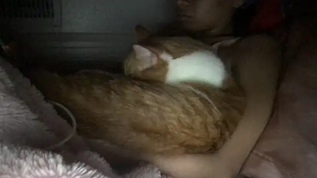 loveofbea online show from March 8, 3:32 am