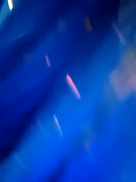 sneha rose online show from September 8, 5:12 pm