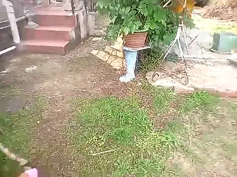 bustybillies online show from October 11, 3:59 pm