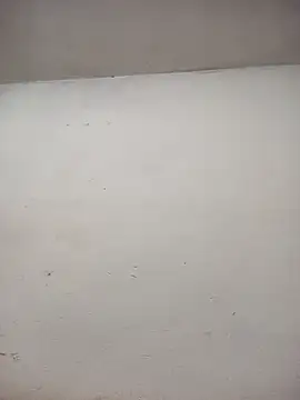 ambarlennoix online show from April 1, 5:30 am