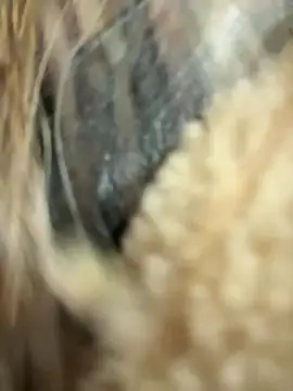 Sophie Avory online show from December 2, 6:10 pm