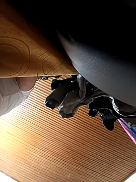 yajahil online show from October 26, 4:52 am