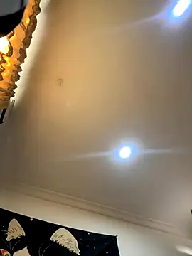 pawmistry online show from December 3, 8:11 pm