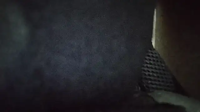 Indian-Festival online show from September 26, 3:20 pm