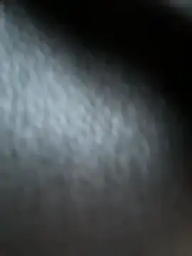 Sunny   Bunny online show from December 22, 12:30 pm