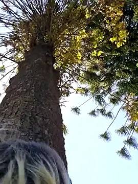 Public Katrisha online show from January 17, 2:35 pm