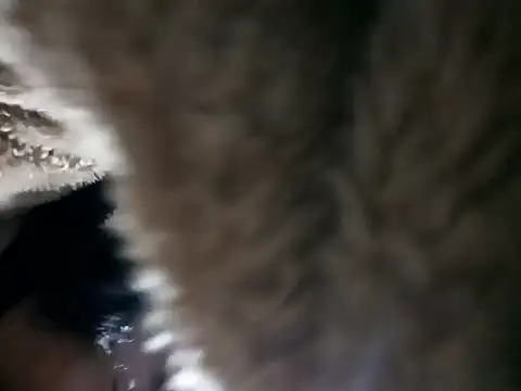 Elvishcassie  online show from January 6, 10:13 pm