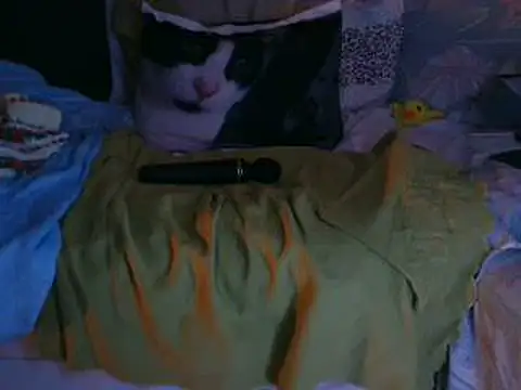 VeneRed online show from November 26, 11:17 pm