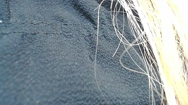 DolphinDreams online show from April 18, 3:47 pm