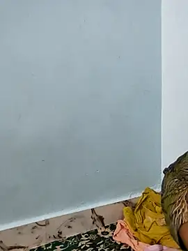 Sania-Love online show from September 14, 11:24 pm