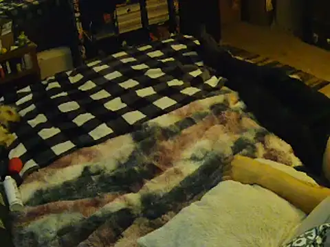 EroticKityii online show from April 1, 5:08 am