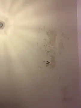 LavenderBuxton online show from March 23, 9:54 pm