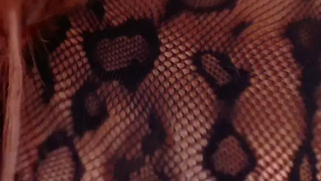 Snapshot of NickyBelmonth chatting on September 14, 1:42 pm NickyBelmonth online show from September 14, 1:42 pm