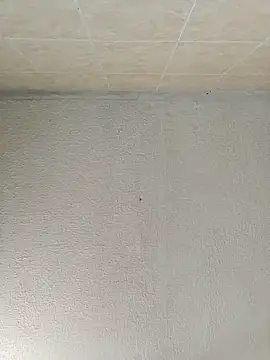 boobsTaylor online show from September 21, 6:50 pm