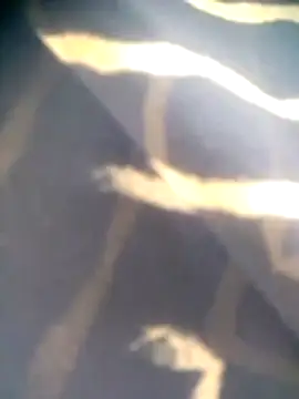 Amaya Bajwa online show from November 5, 7:02 am