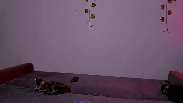 LadyTrep online show from March 10, 6:56 pm