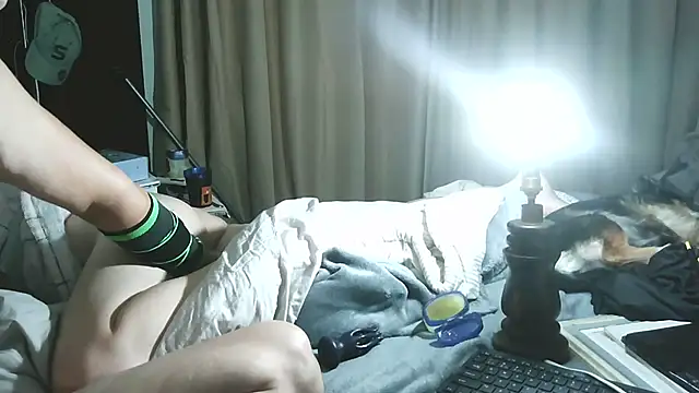 xylegs online show from June 21, 2:48 am