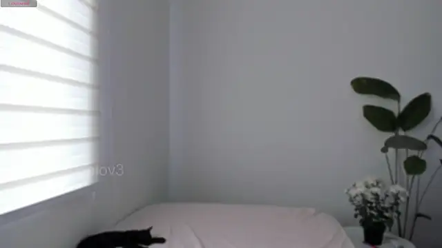 ggor4w33 online show from February 7, 7:29 pm