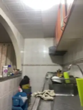 Carola-Ross online show from January 17, 4:25 pm