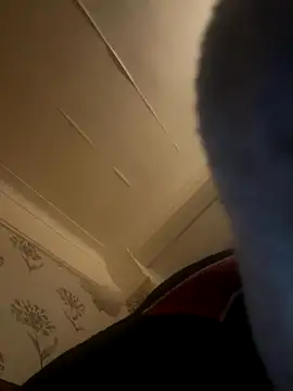 Snapshot of Gabriella316 chatting on September 28, 4:41 am Gabriella316 online show from September 28, 4:41 am