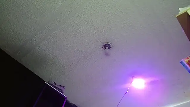 Pandora 9666 online show from October 2, 6:46 pm