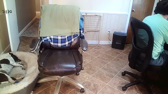 superbearboss online show from November 9, 4:14 pm