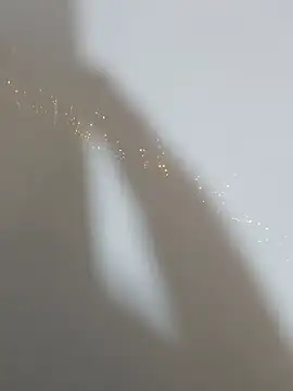 Trilyn25 online show from November 12, 3:04 am