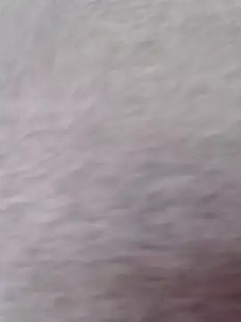 emiliemilf online show from October 2, 7:41 pm