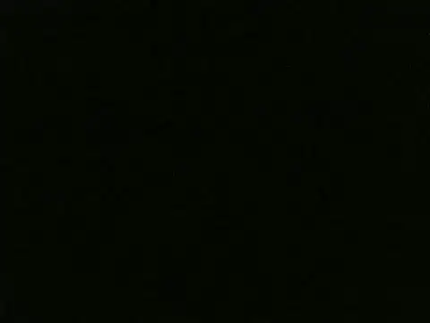 snehashreyatamil online show from October 12, 7:11 am