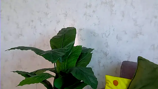 AshleyD  online show from September 16, 2:41 am