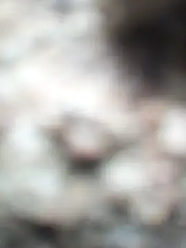 srtsara online show from February 9, 2:19 pm