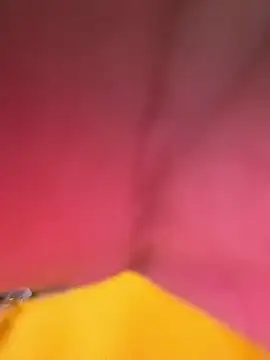 Huitaca  online show from December 18, 6:18 am