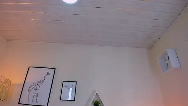 LusyKitty online show from November 25, 3:14 pm