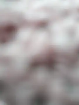 Snapshot of dyjaA chatting on September 15, 12:02 pm dyjaA online show from September 15, 12:02 pm