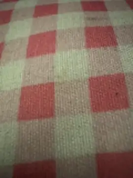 anonimgirl18old online show from October 29, 5:04 pm