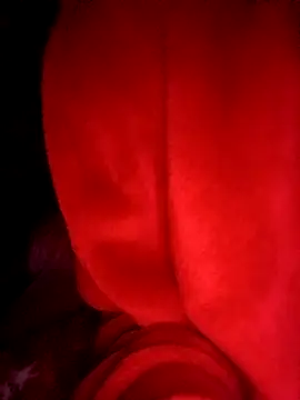 Hottiesophie online show from April 2, 9:12 pm