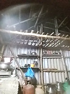 Tamilauntyhot online show from November 8, 1:05 pm