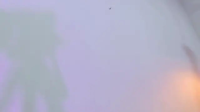 eimy skinny  online show from February 12, 12:51 pm