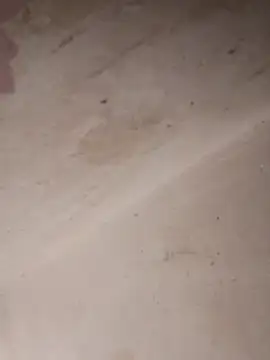 aunty sumy online show from February 4, 6:49 am