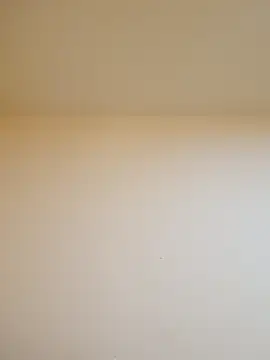 Oriana111 online show from February 15, 3:55 pm