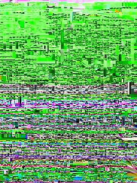 meomeo2k6 online show from November 17, 2:29 pm