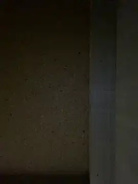 itsmeyourgirlfucker online show from February 4, 9:34 am