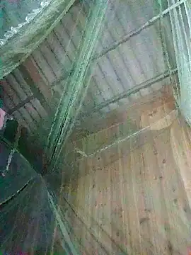 Mptrangp online show from April 16, 10:01 pm