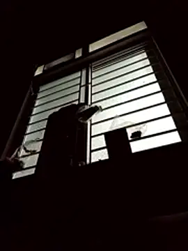 spsale online show from April 16, 9:50 pm