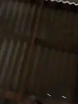 Phayphay77 online show from November 8, 9:14 am