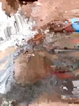 tw swag online show from January 6, 7:45 am